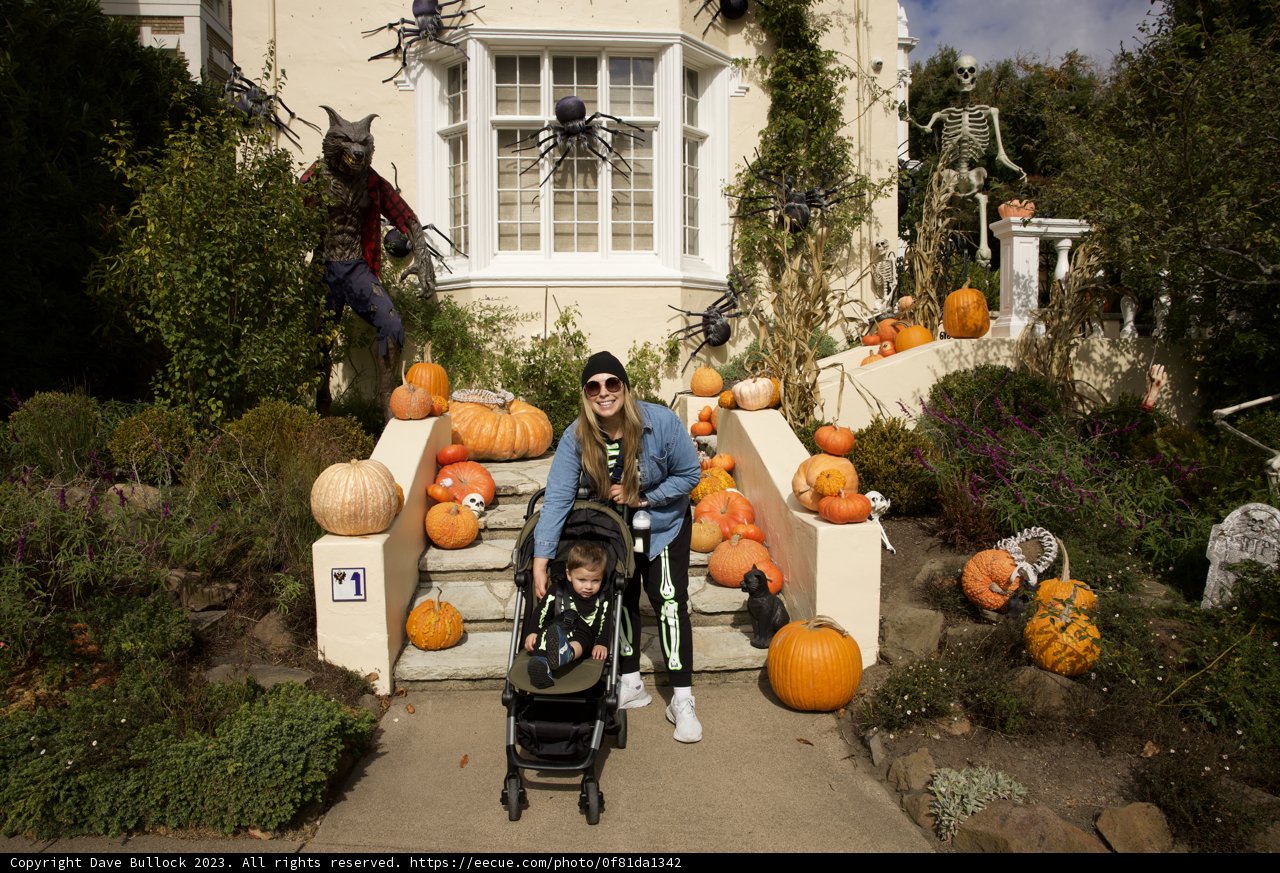 Charming Autumn in San Francisco
