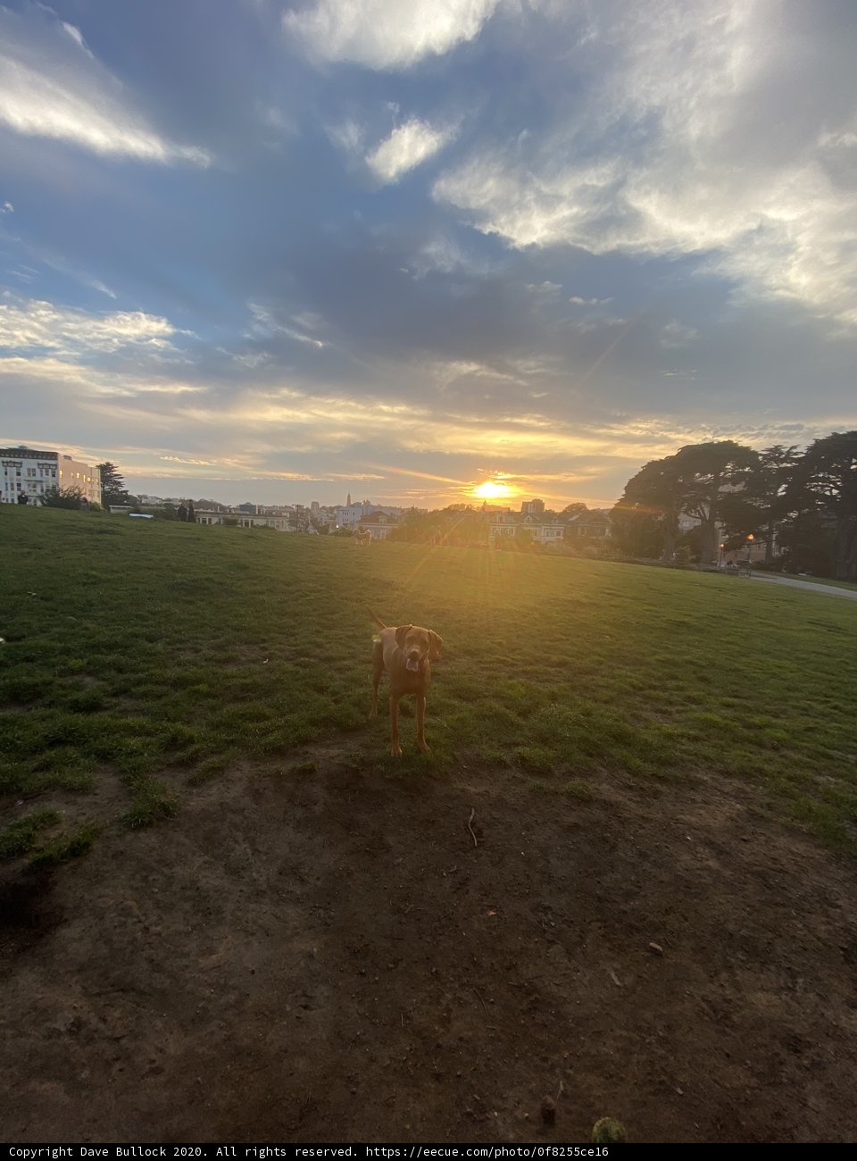 Sunset Serenade