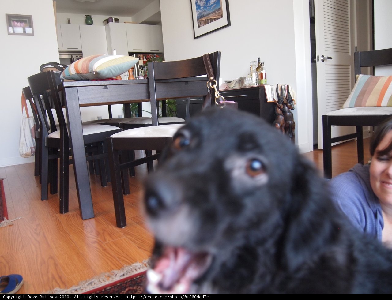 Our Beloved Lab, Integration of Art and Life