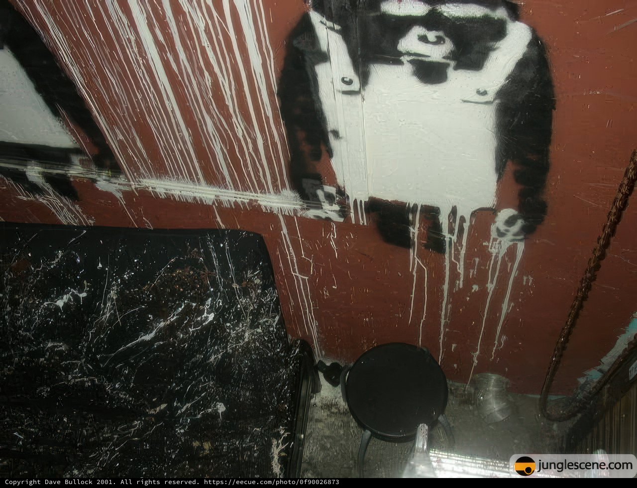 Monkey Art in the Bathroom