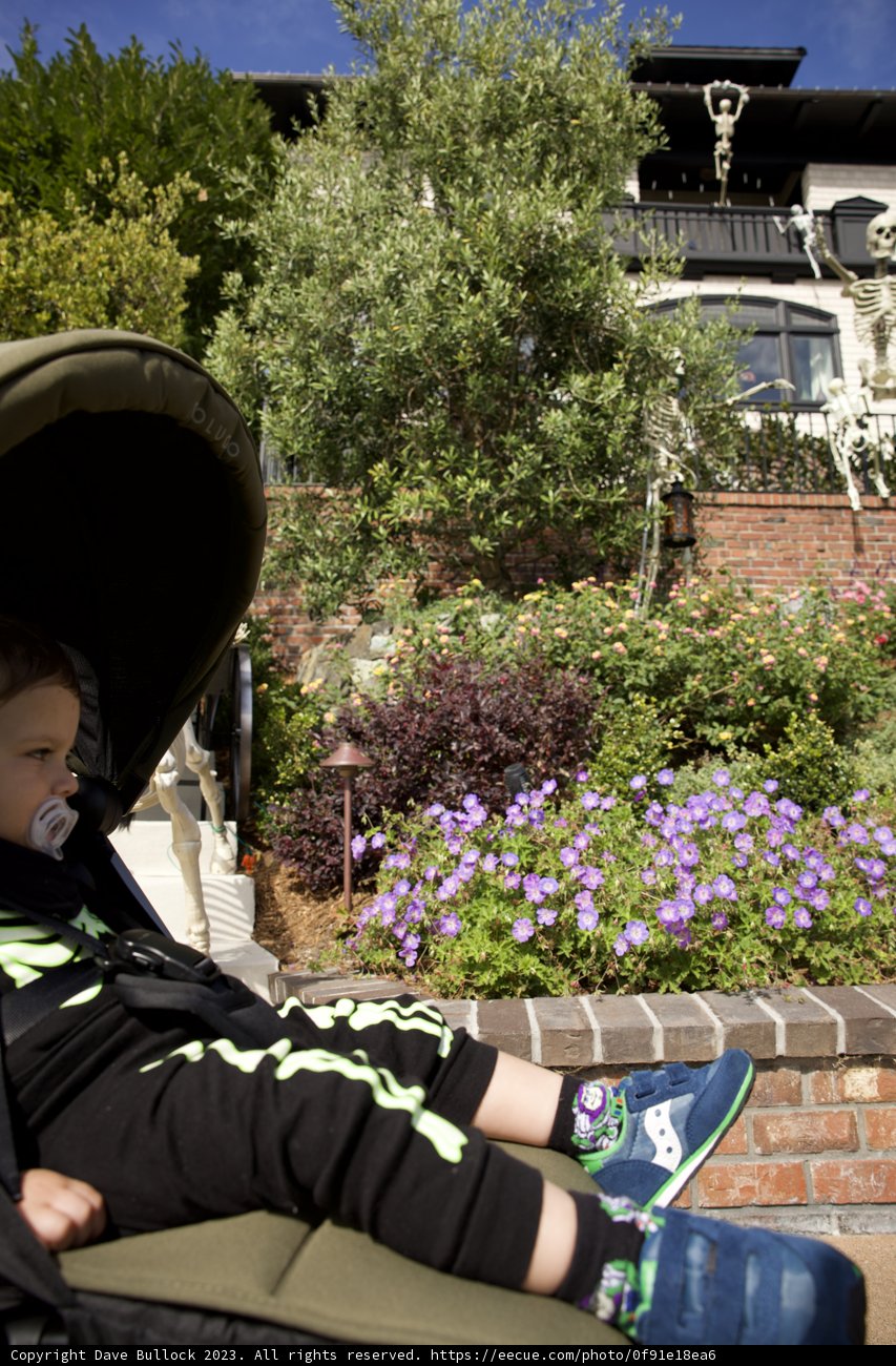 Innocence Amidst Nature