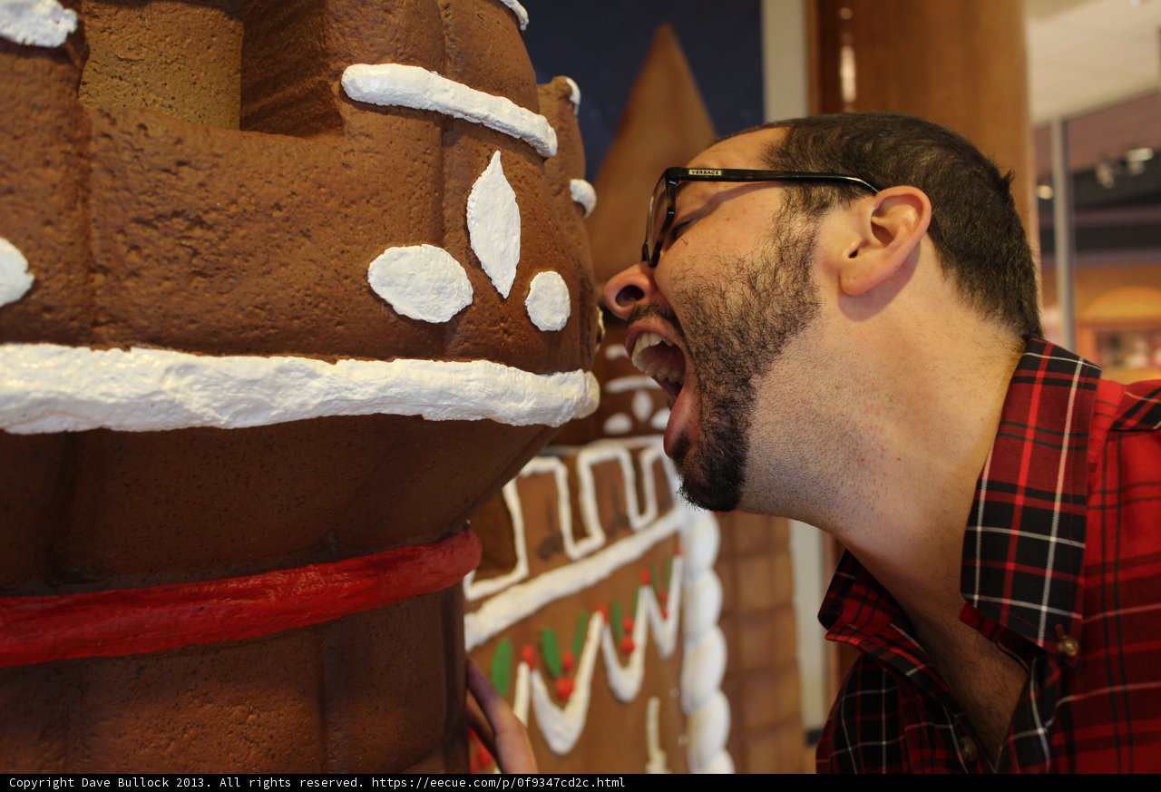 Gingerbread Man Delight