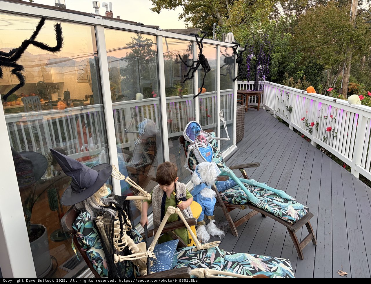 Halloween Deck Decorated with Spooky Spider Decorations