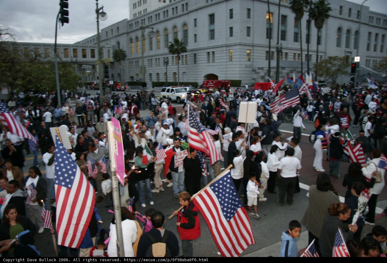 Patriotic Crowd