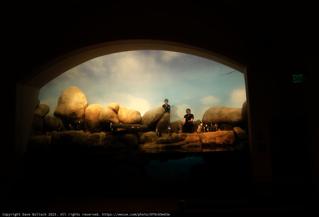 Mysterious Intricacies of the Natural Arch at the California Academy of Sciences