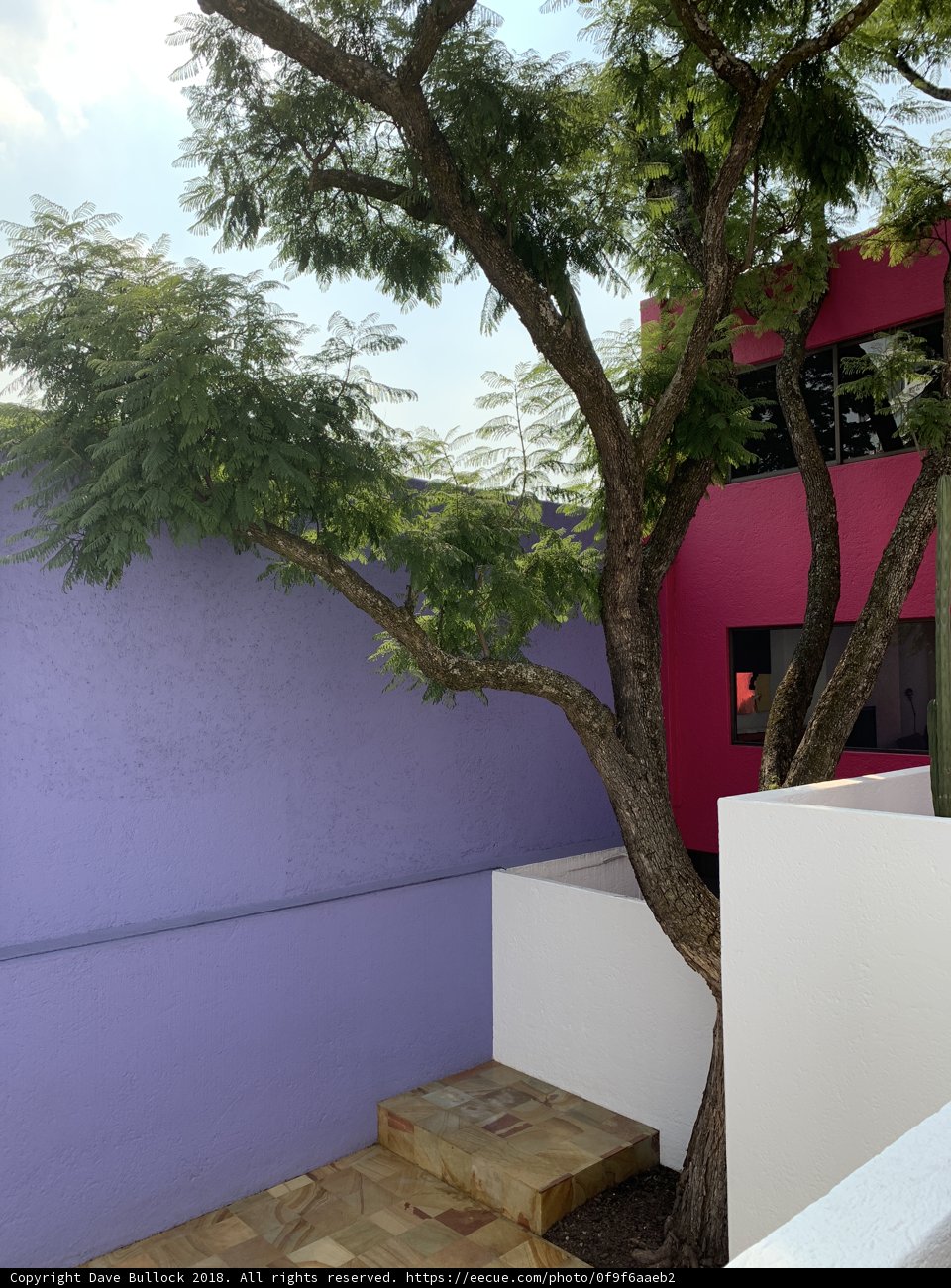 Purple and White House with Tree in Front