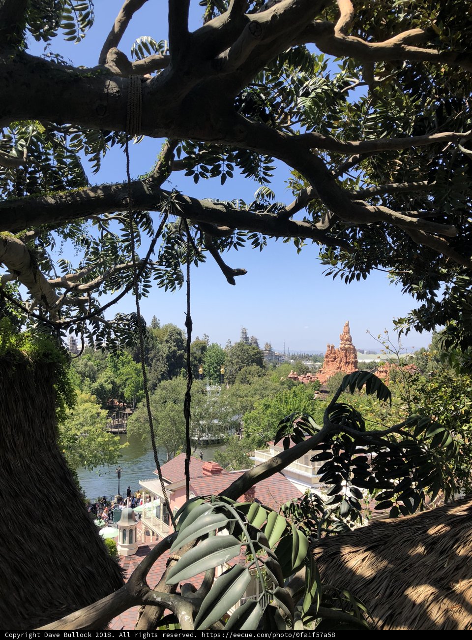 Tree-top Cityscape