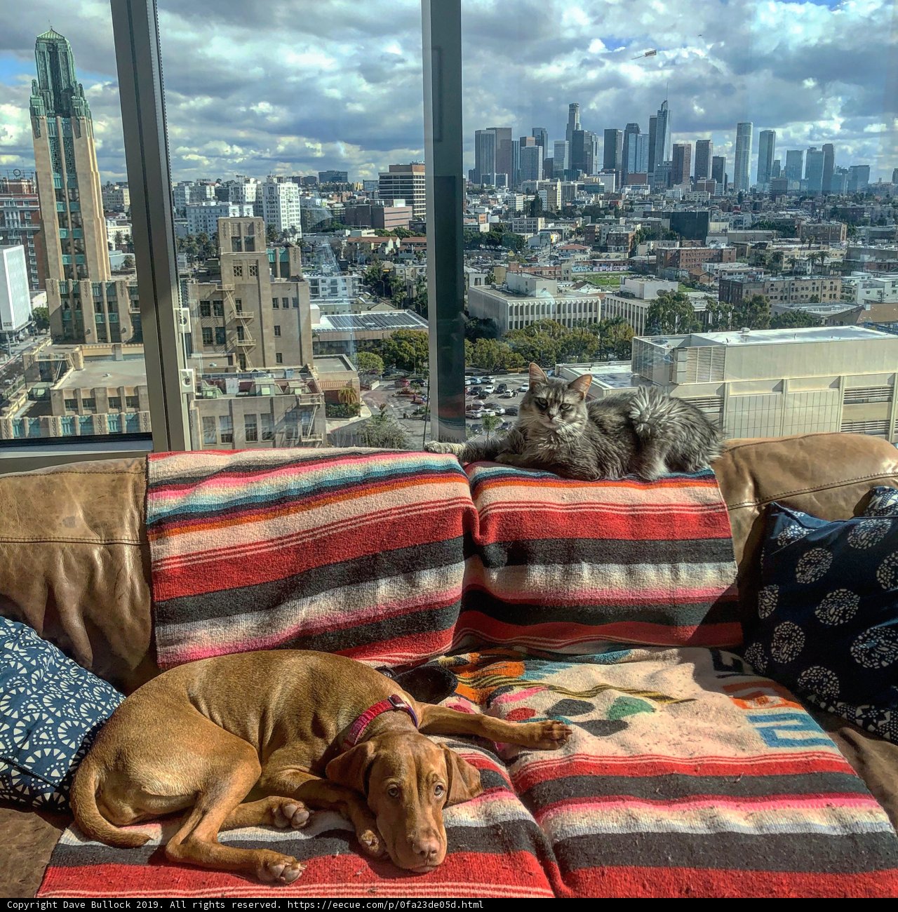 Urban Naps