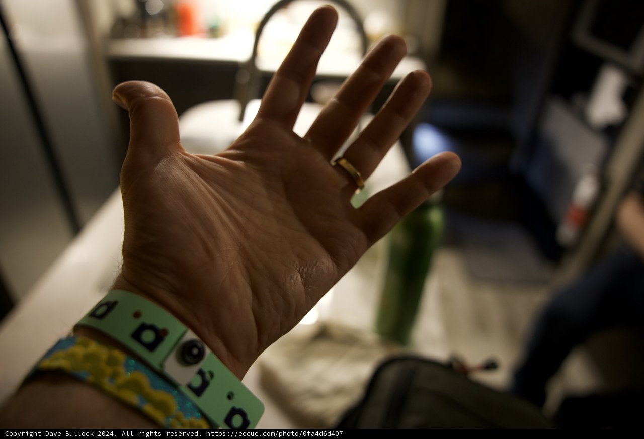 In the Moment: Coachella Wristband and Memories