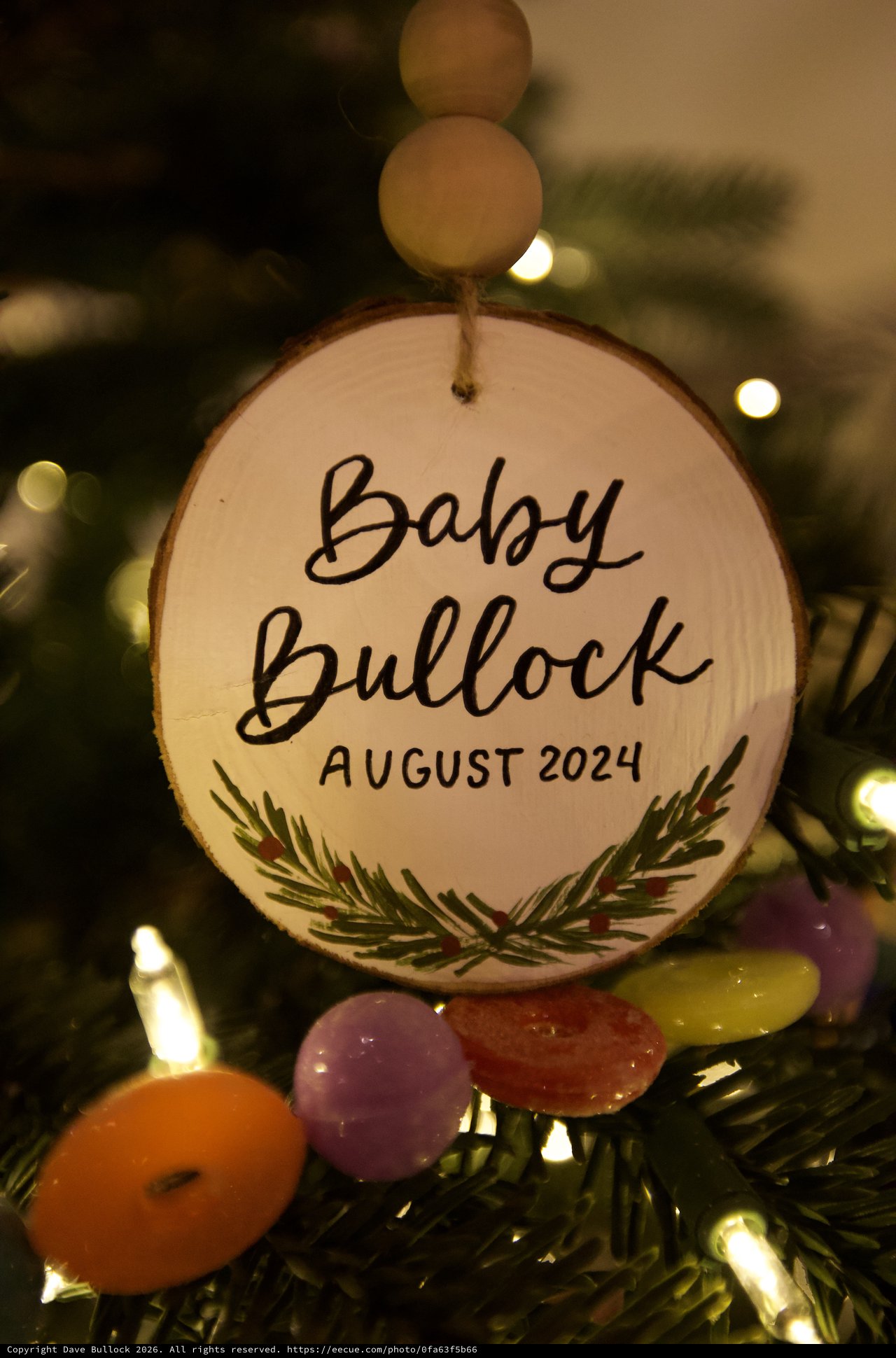 Baby Bullock Christmas Tree Ornament August 2024