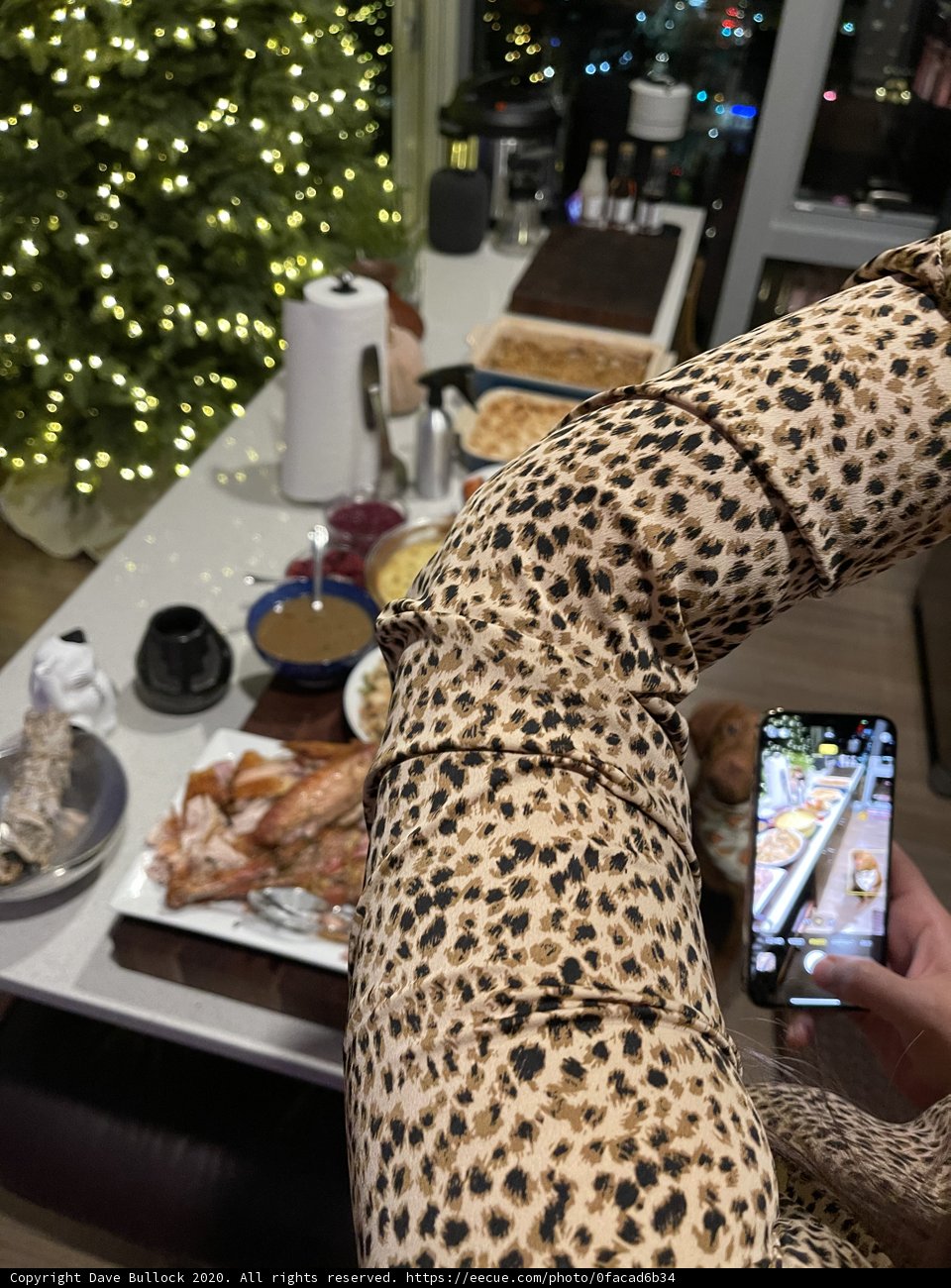 Capturing Christmas Cheer