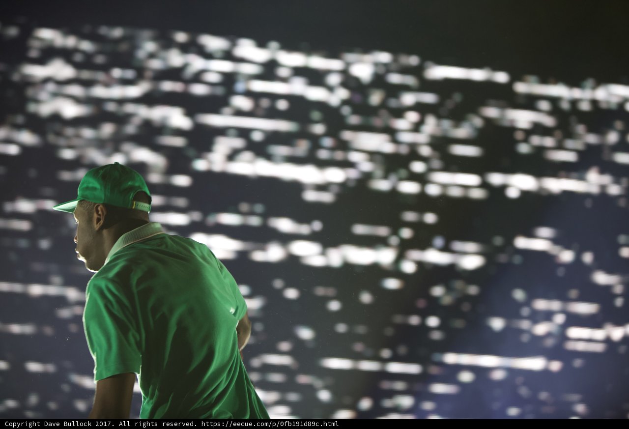 Green Shirt Guy at Coachella