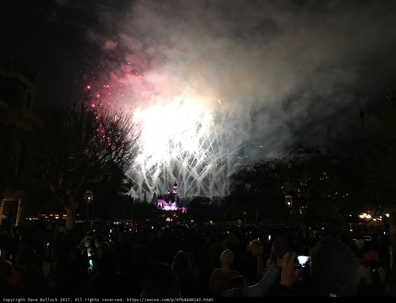 Disneyland Fireworks Spectacular Lights Up the Night Sky