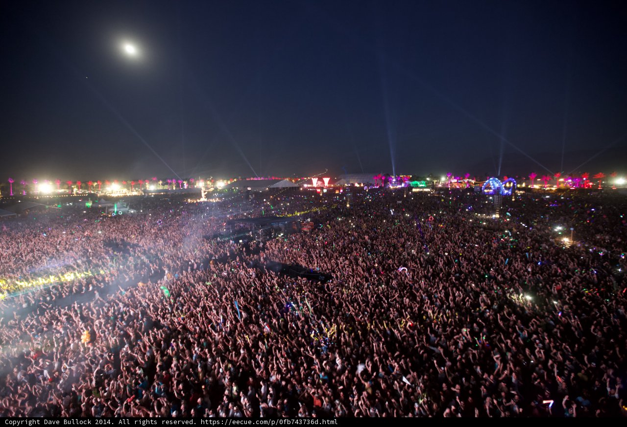 Moonlit Madness