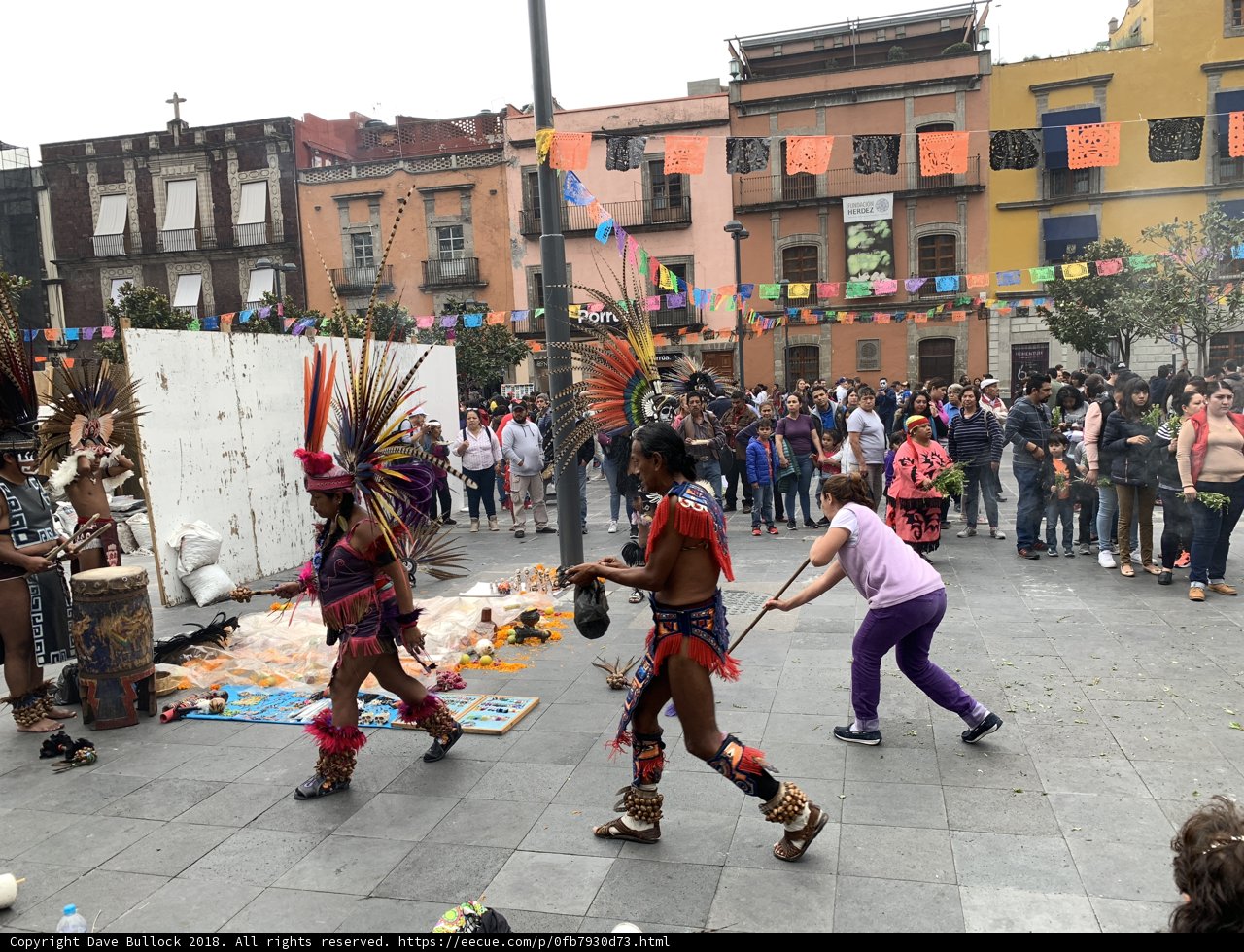 Costumed Dancing Delight