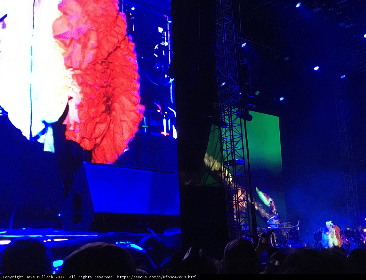 Flower Power Concert