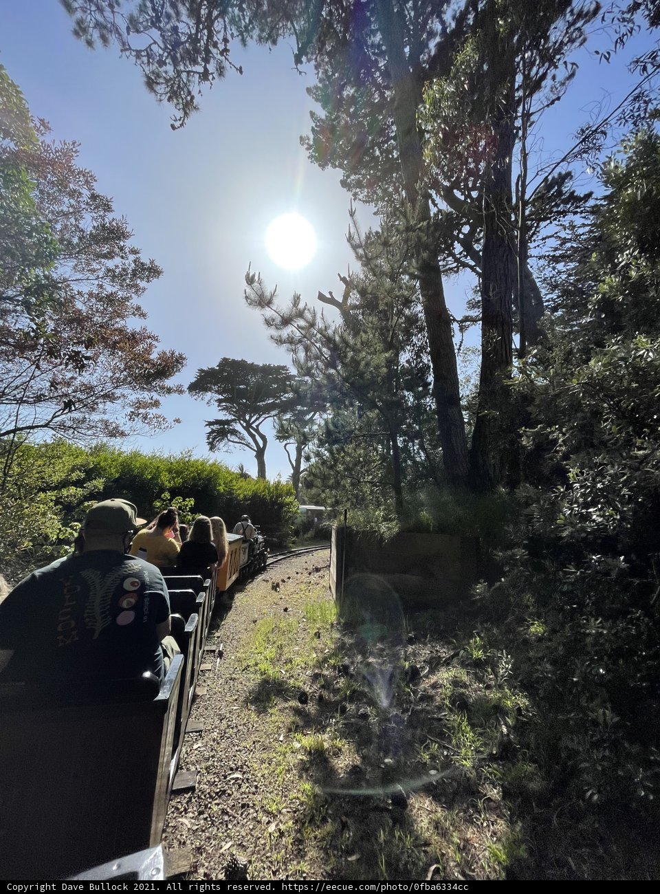 Train Ride through the Woodlands
