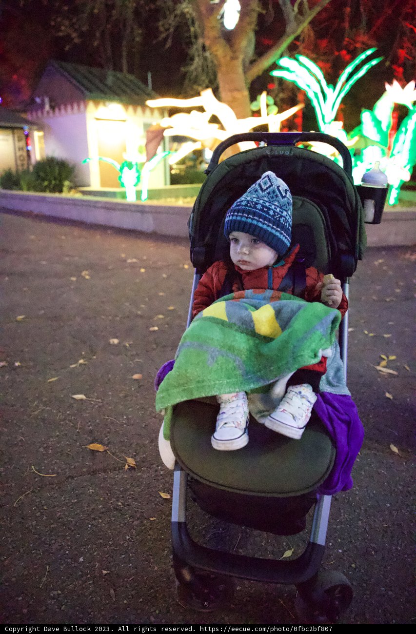 Oakland Zoo Adventure: A Baby's Winter Tale