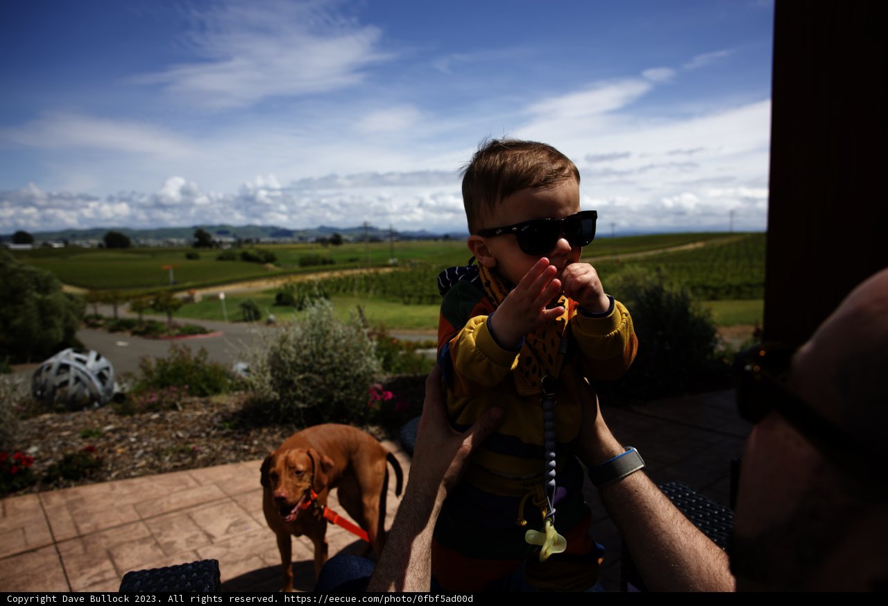 Family Fun at Bouchaine Vineyards