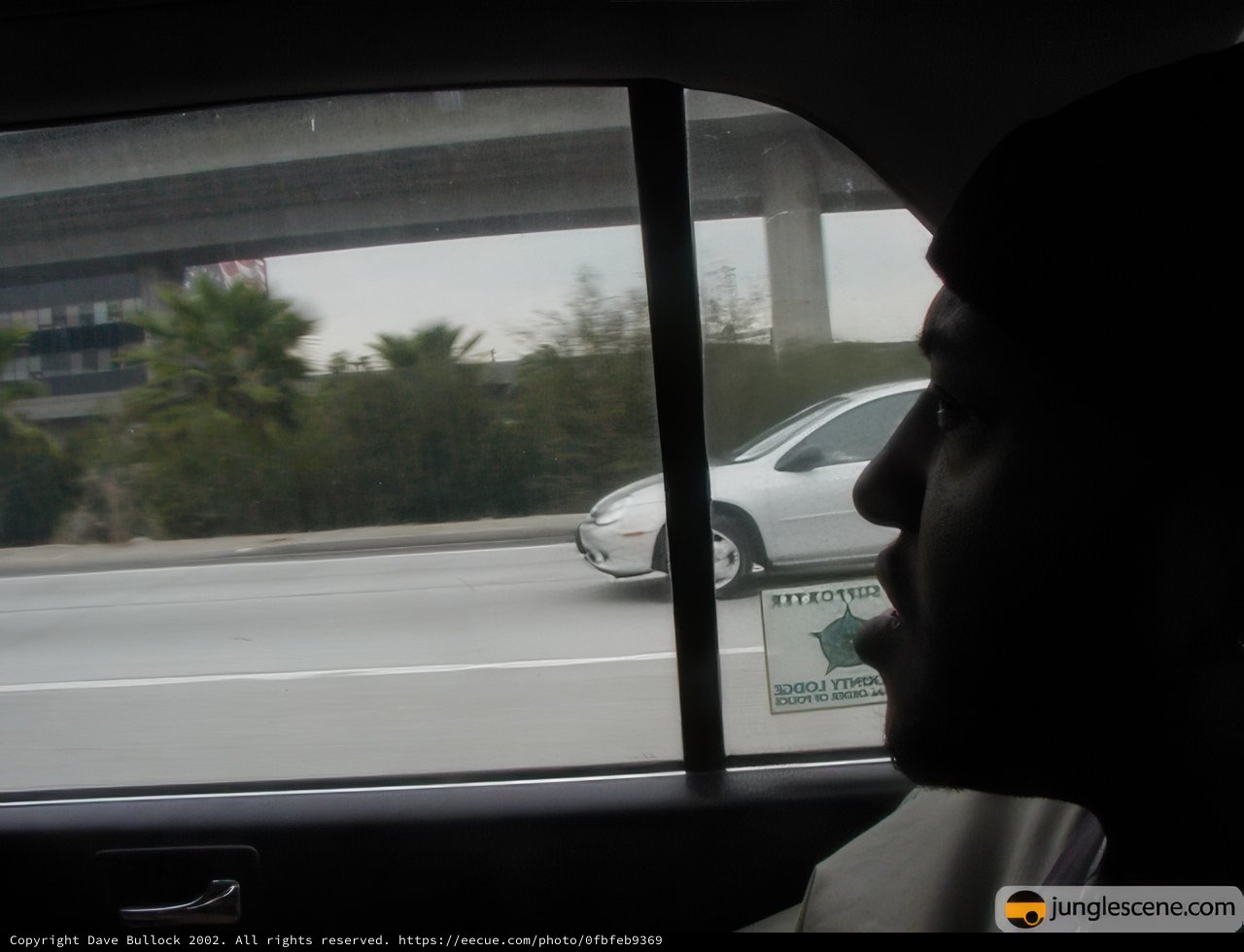 Reflections on the Road