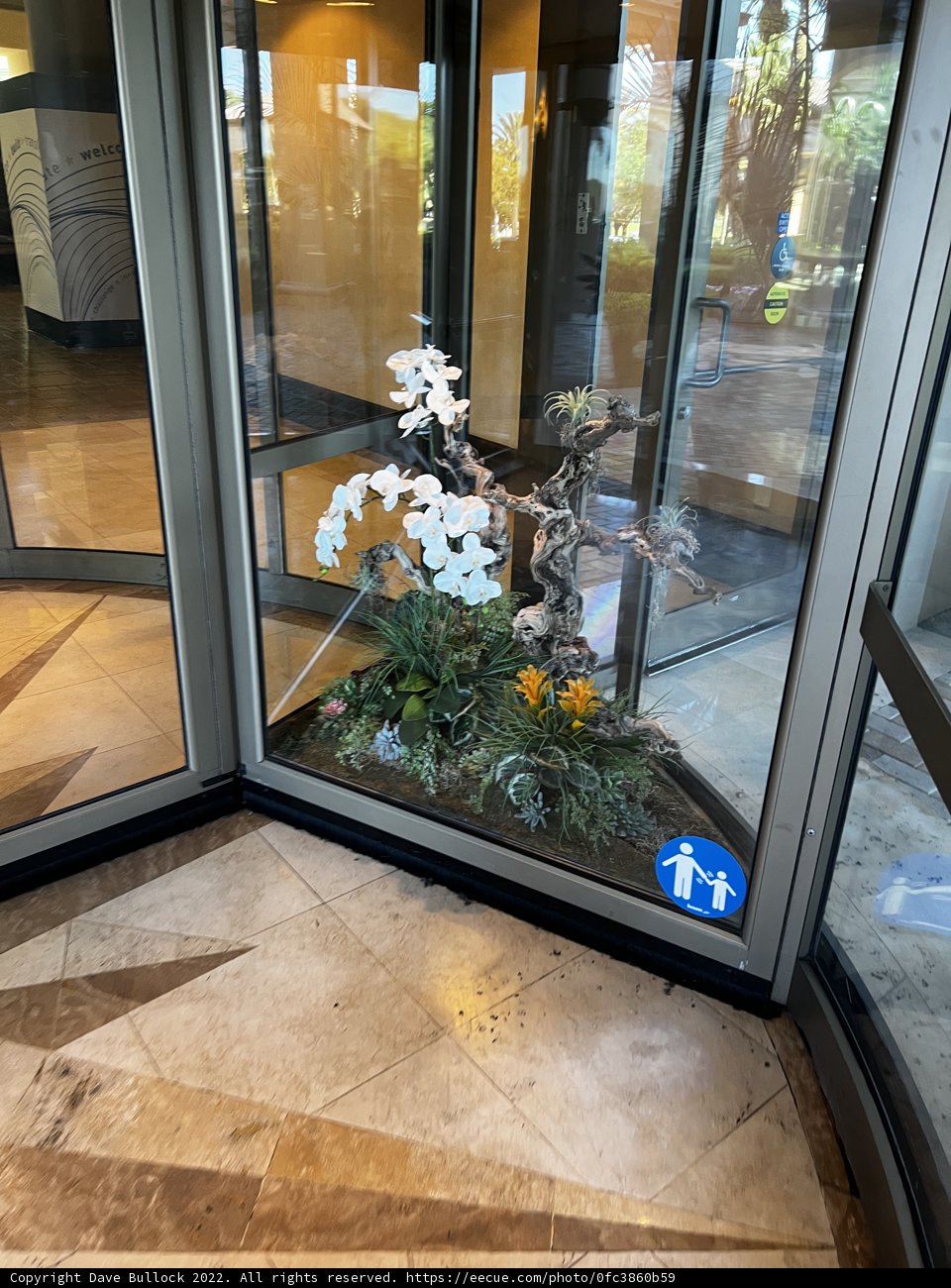 Flowery Glass Door