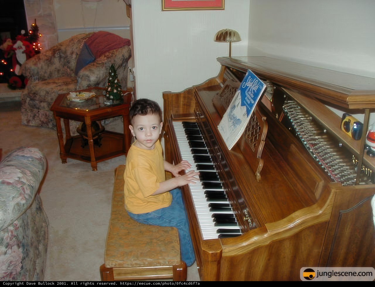 Piano Prodigy in the Making
