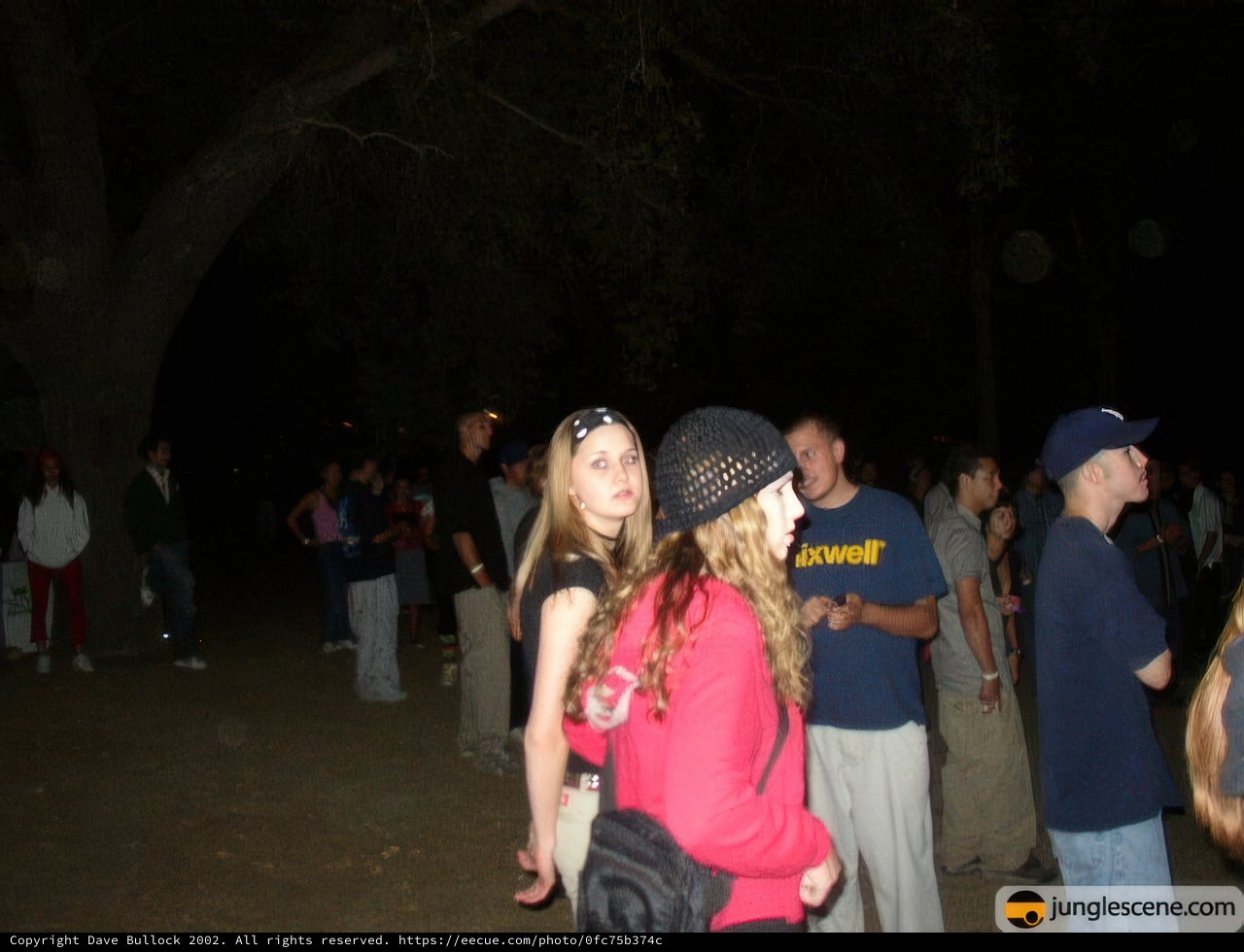 Nighttime Gathering