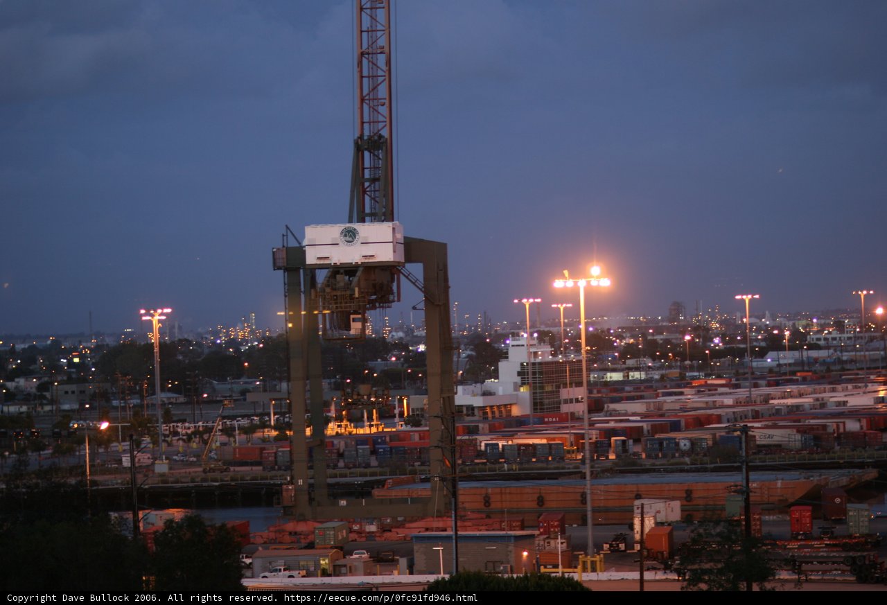 A Crane in the Night Sky