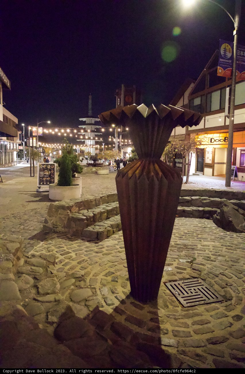 Evening Elegance: A Vase on Cobblestones