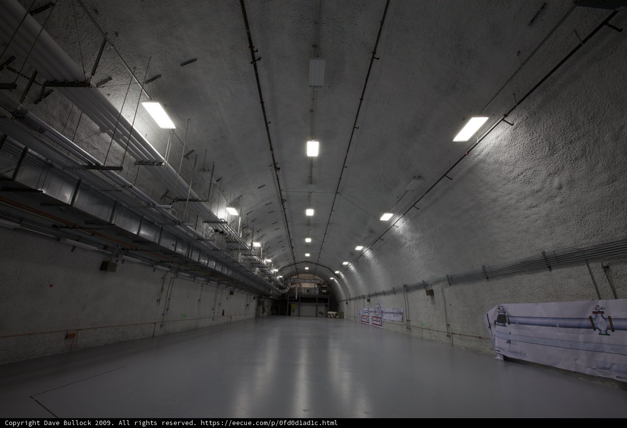 Into the Tunnel