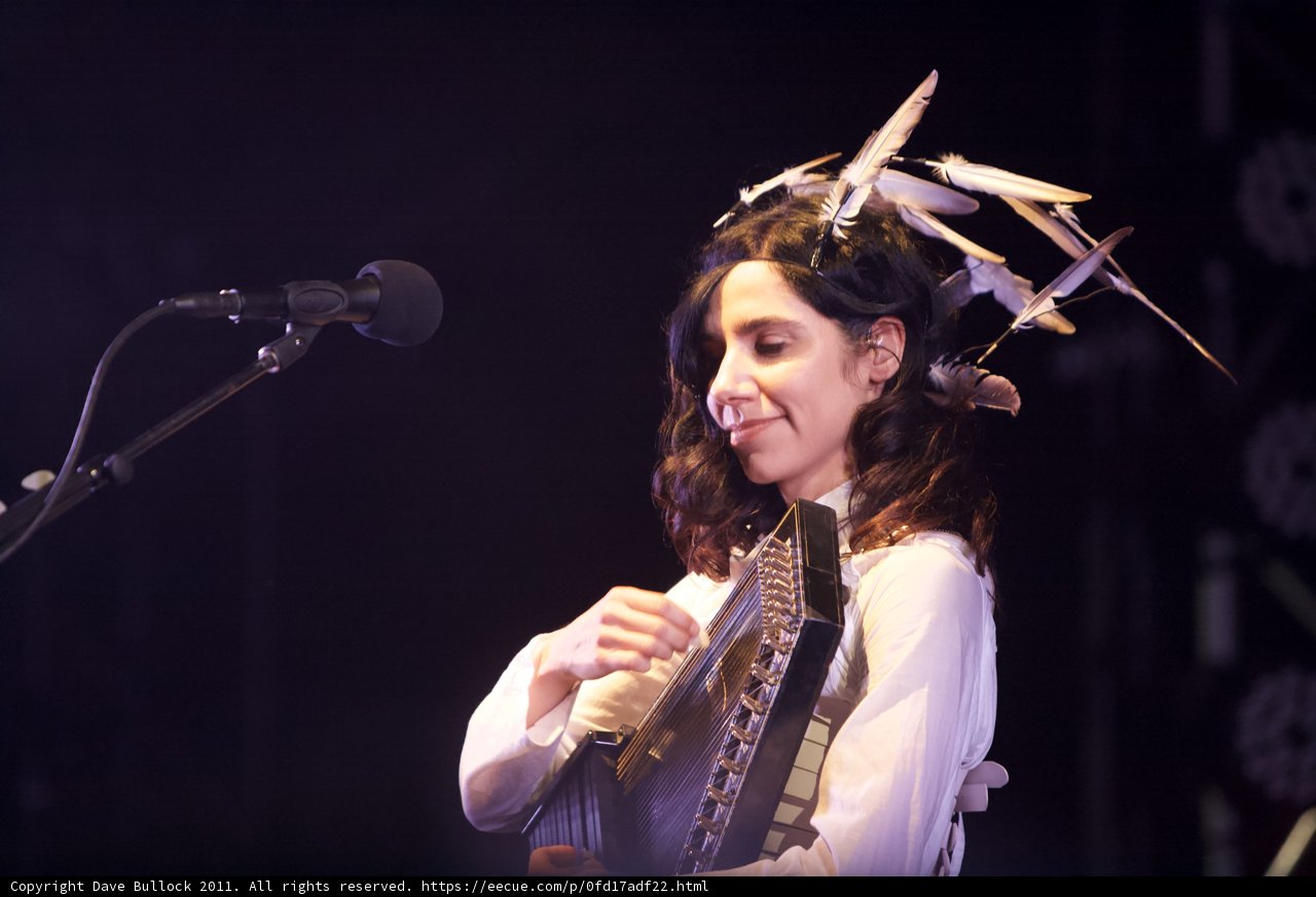Feathers and Music