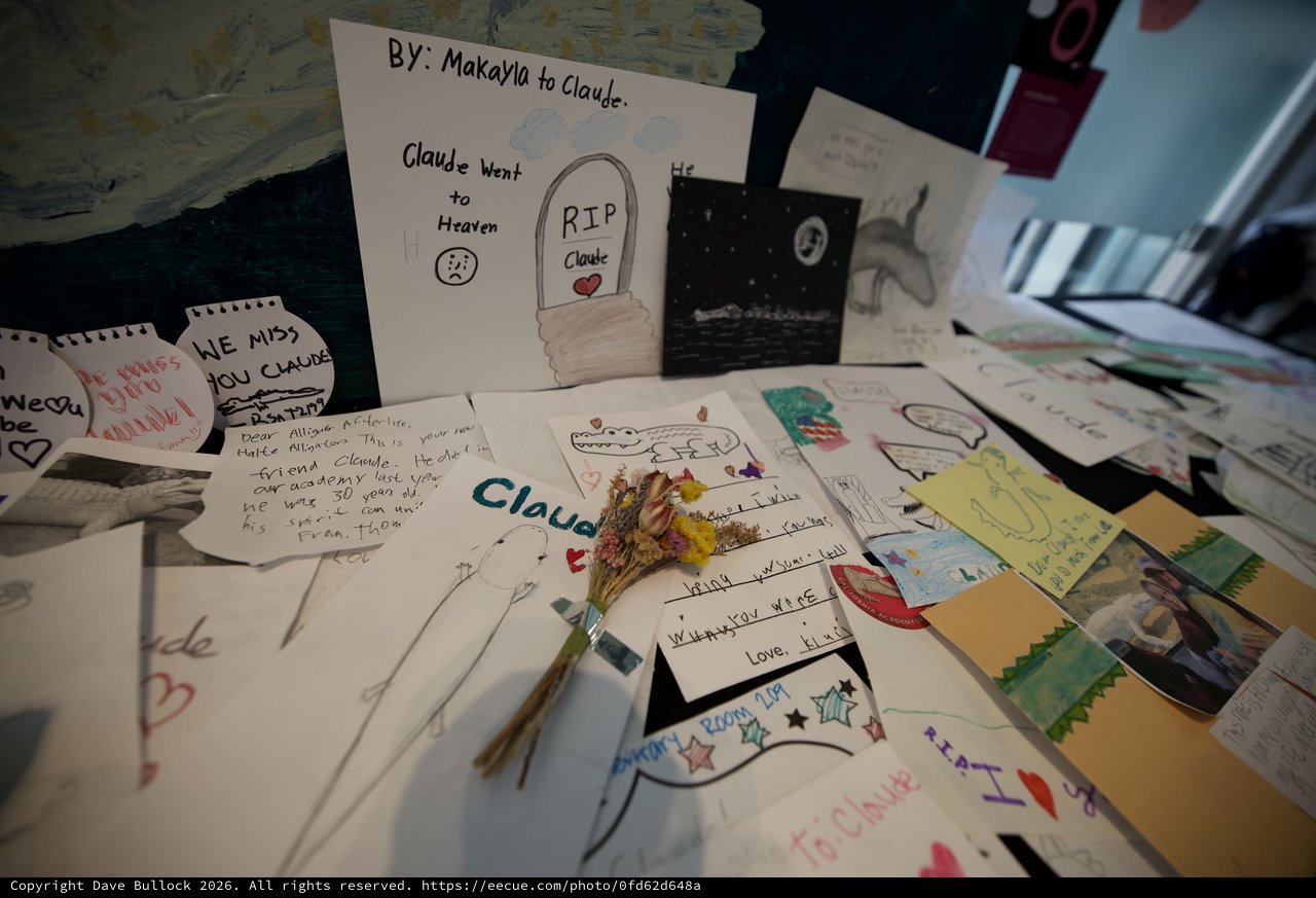 Memorial Tribute Cards and Letters for Claude