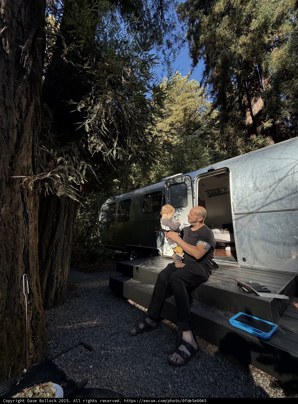Redwood Retreat