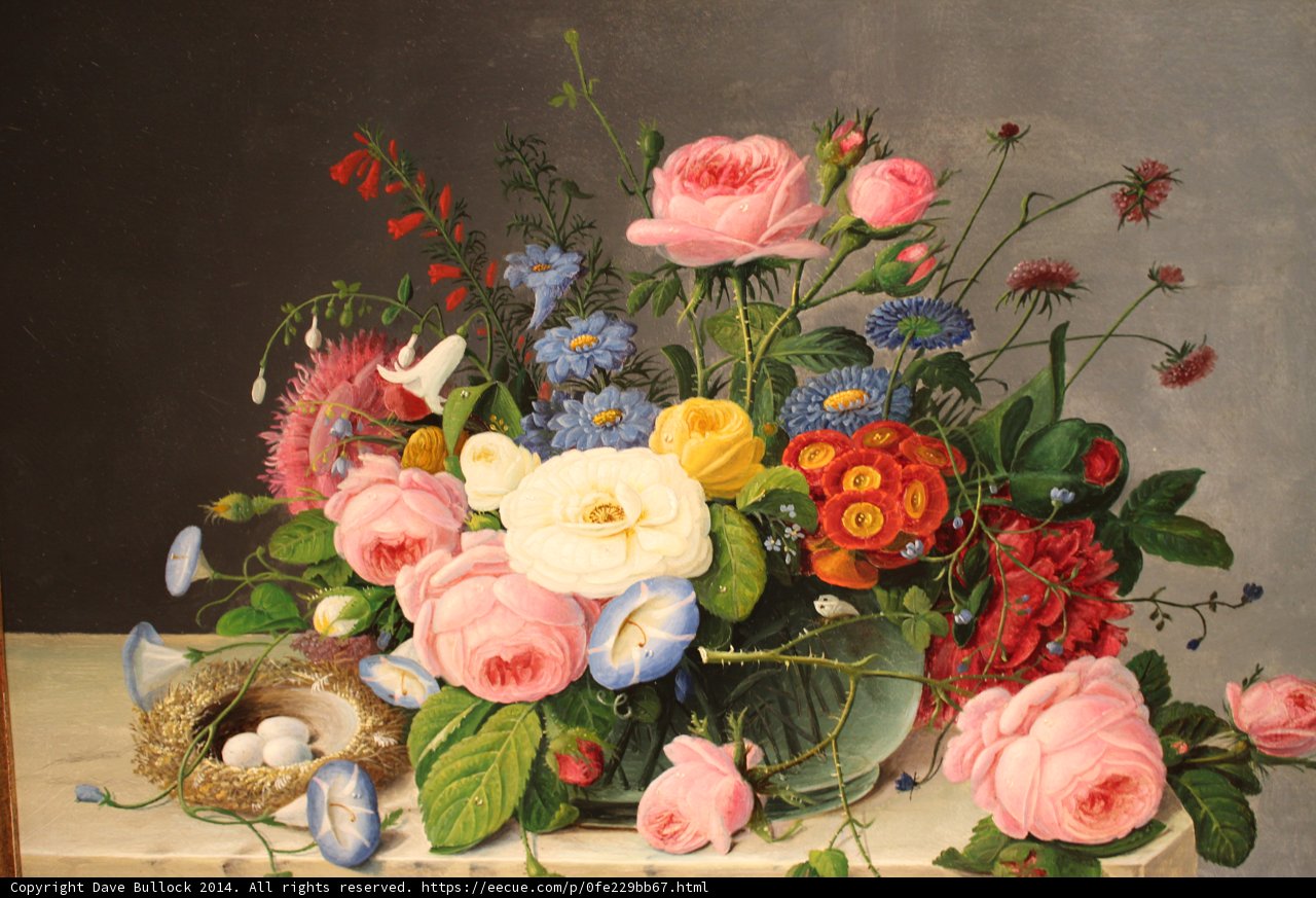 Birds and Blooms