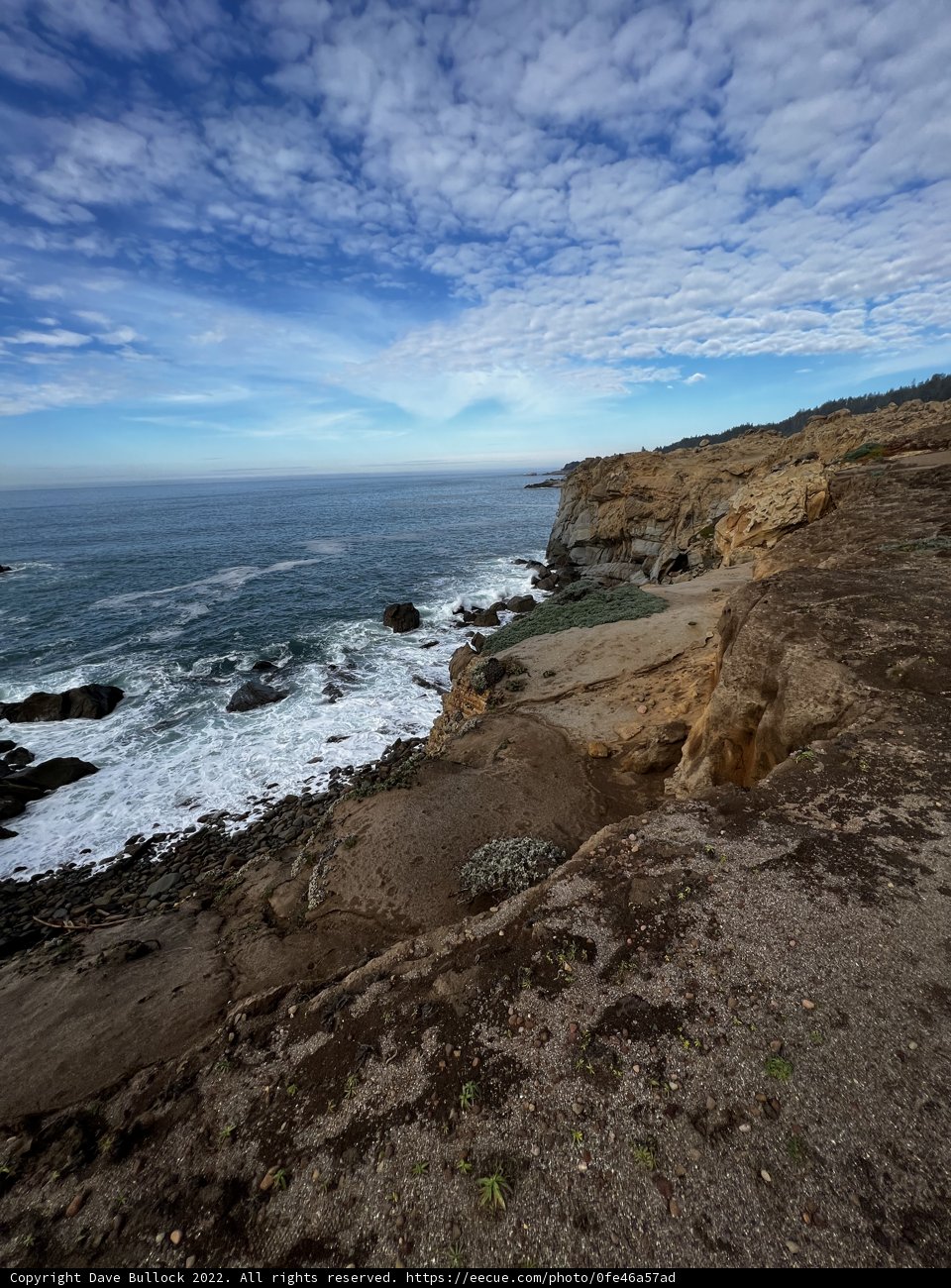 Ocean and Cliffs: A Captivating Vista