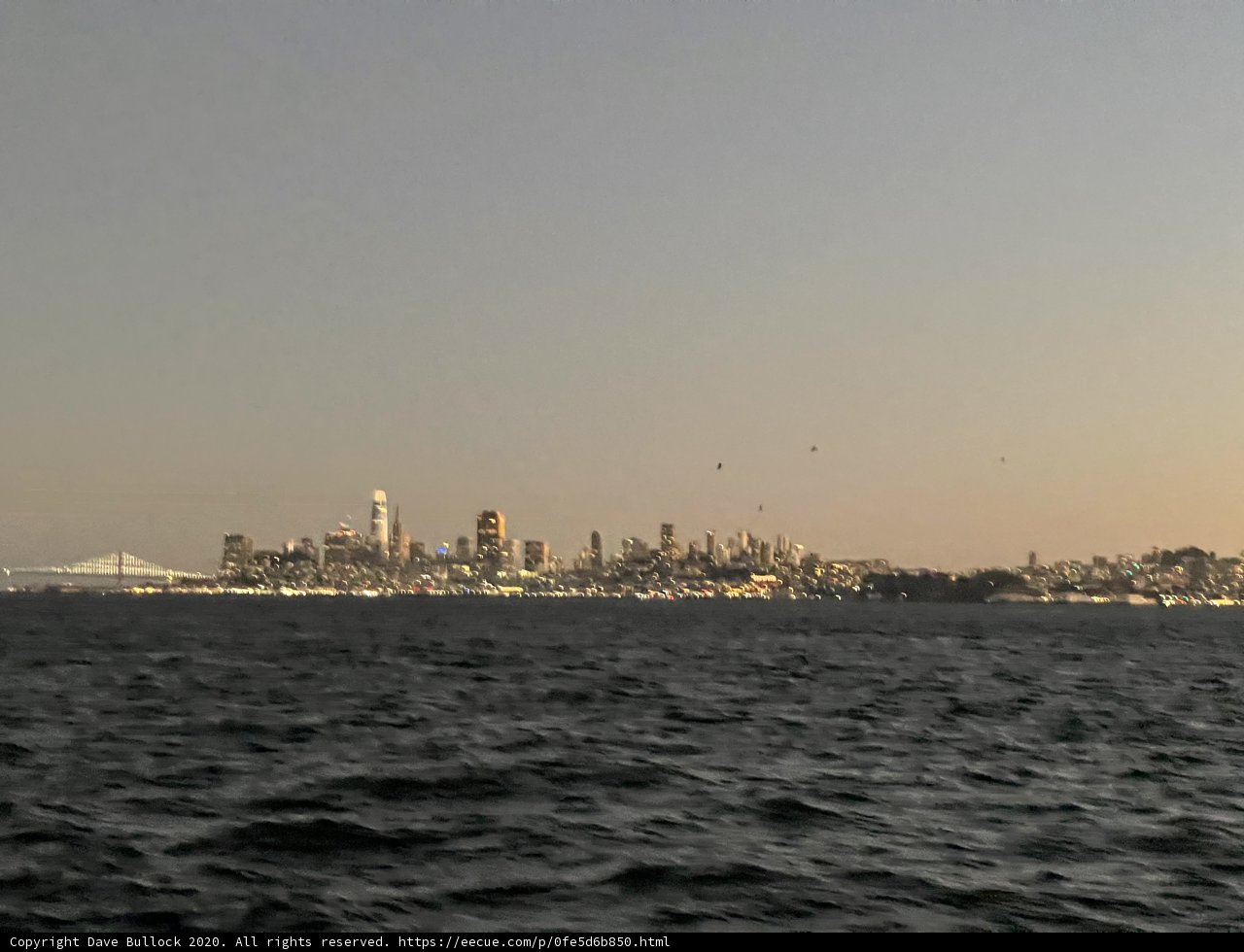 A Panoramic View of San Francisco's Metropolis