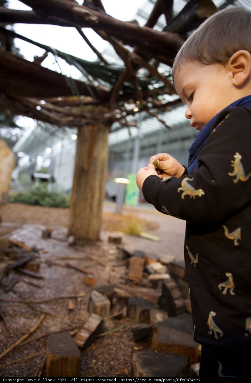 Wesley's Healthy Habits: Captured in the Heart of Nature