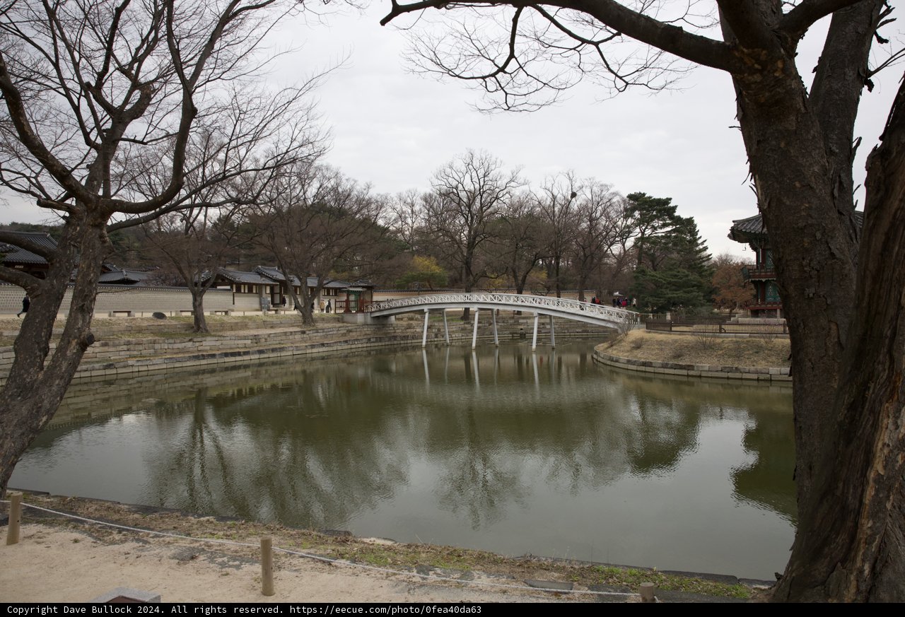 Calm Reflections: Bridge Over the Pond