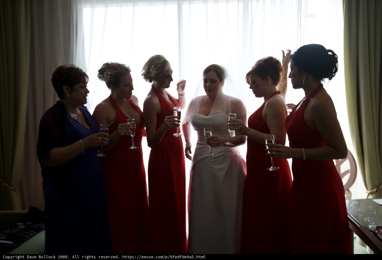 Red Dresses and Wine Glasses