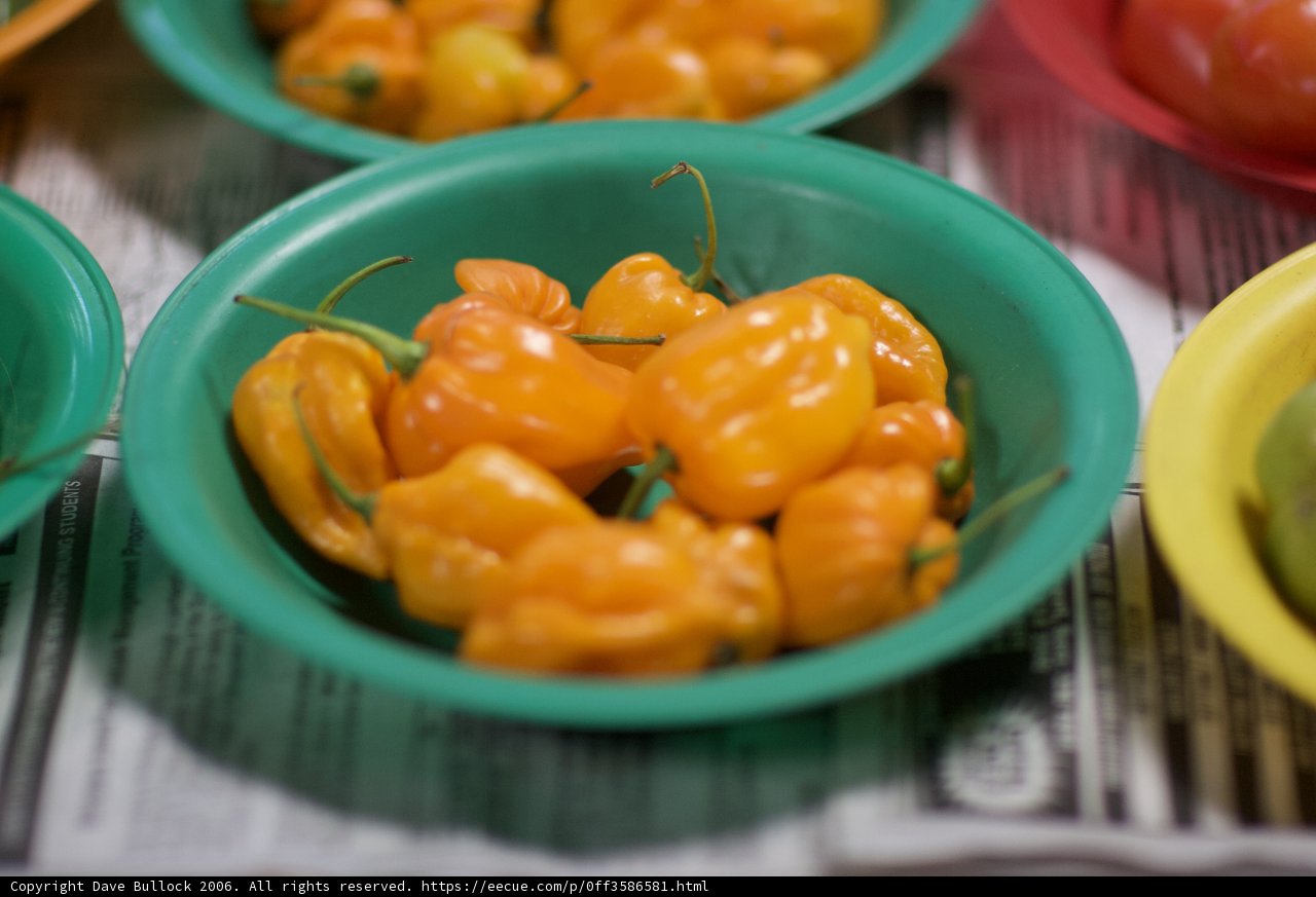 Vibrant Bowl of Peppers