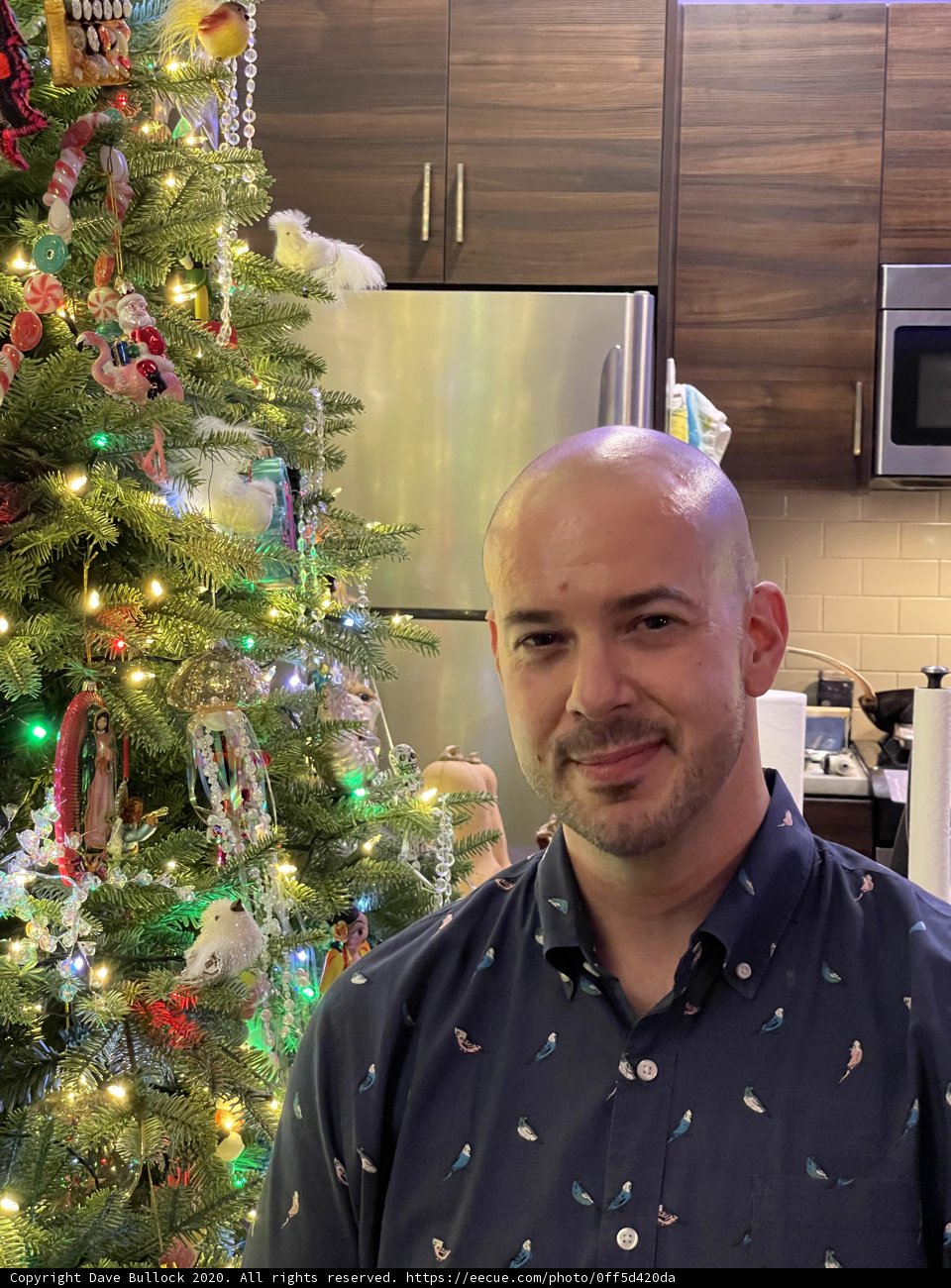 The Christmas Portrait