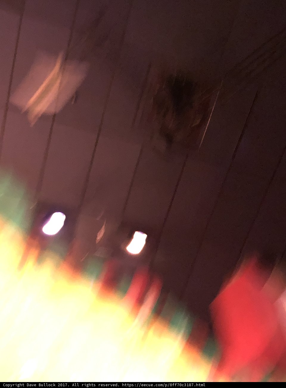 Blurry Night Clubgoer