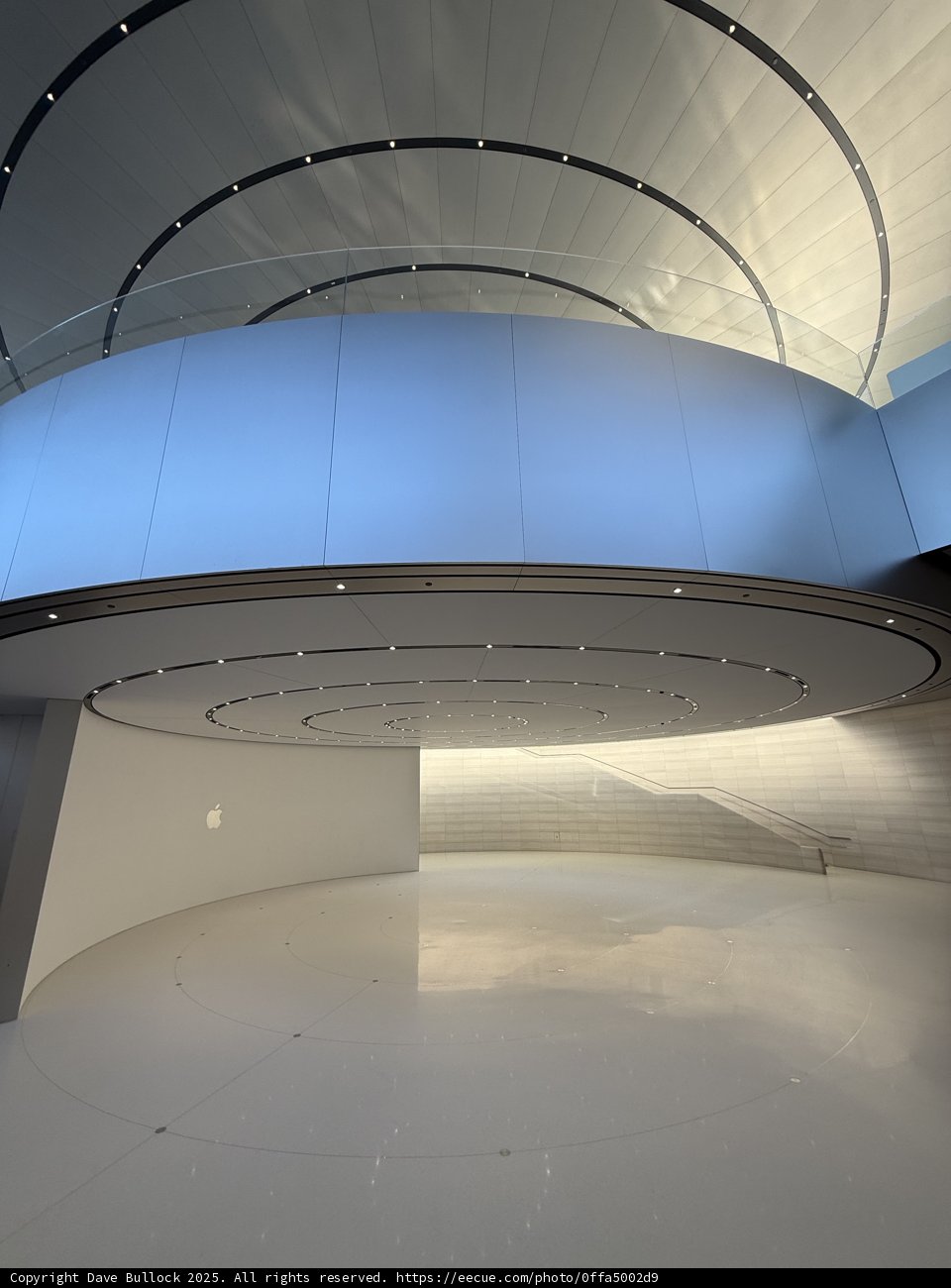 Elegance in Minimalism