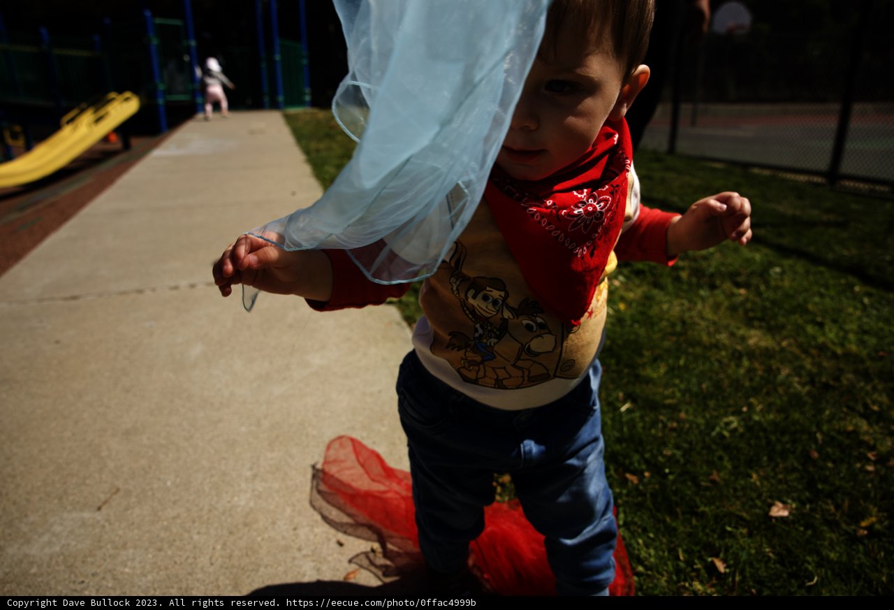 Childhood Dreams: Wesley's First Kite Adventure