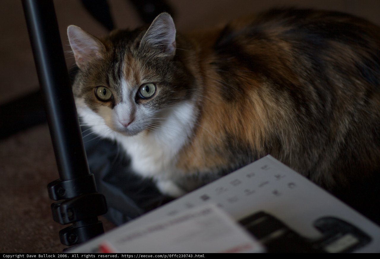 The Photographer's Companion