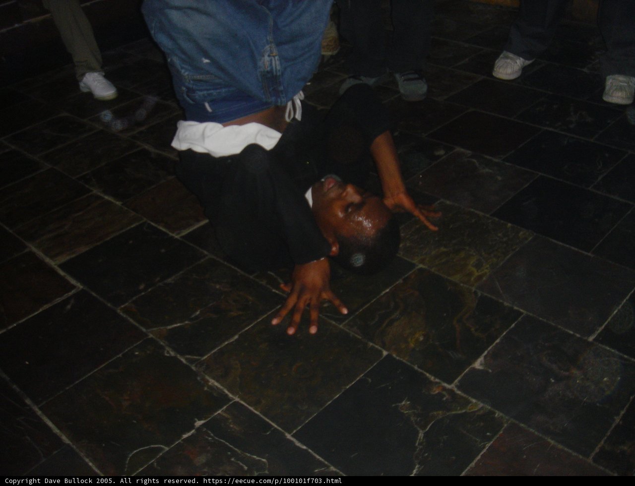 Upside Down on the Slate Walkway