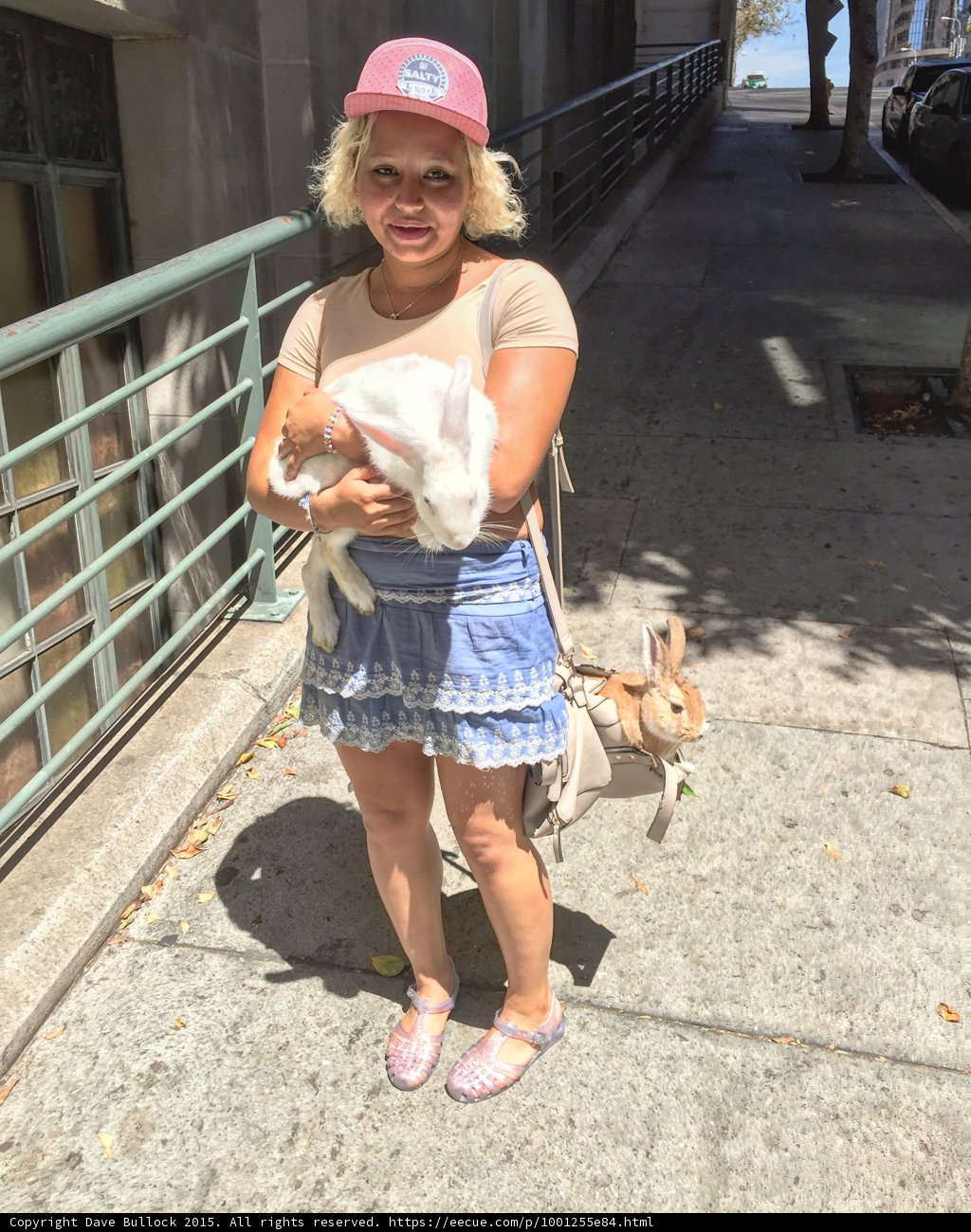 Cute Encounter on the Sidewalk