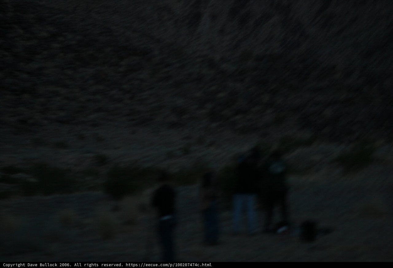 Desert Adventures at Night