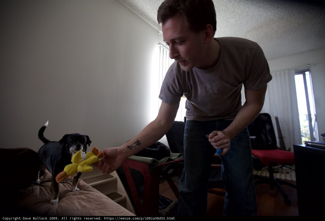 Man and Dog with Toy