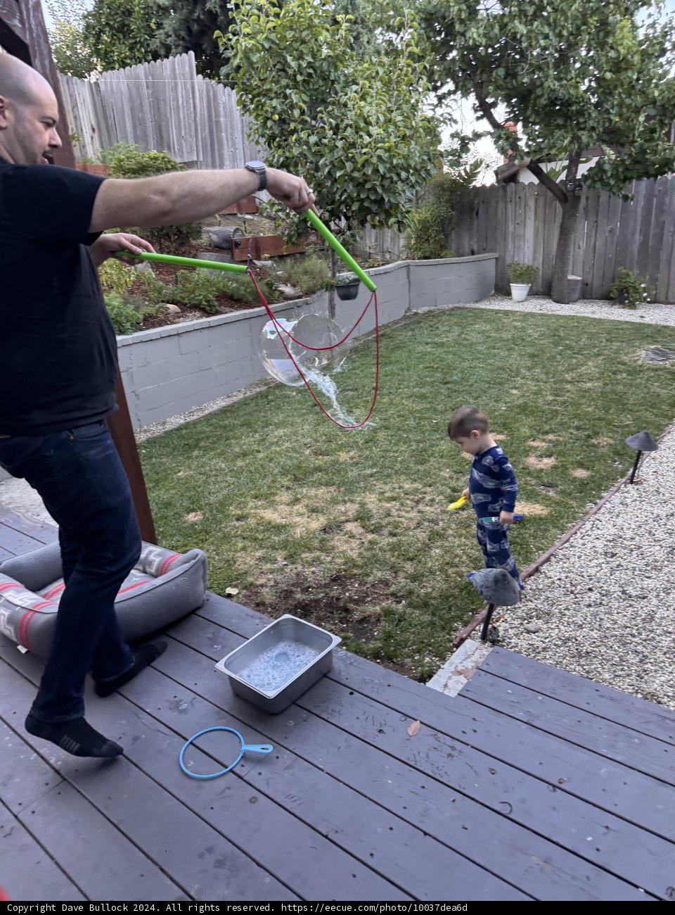 Bubble Magic in the Backyard